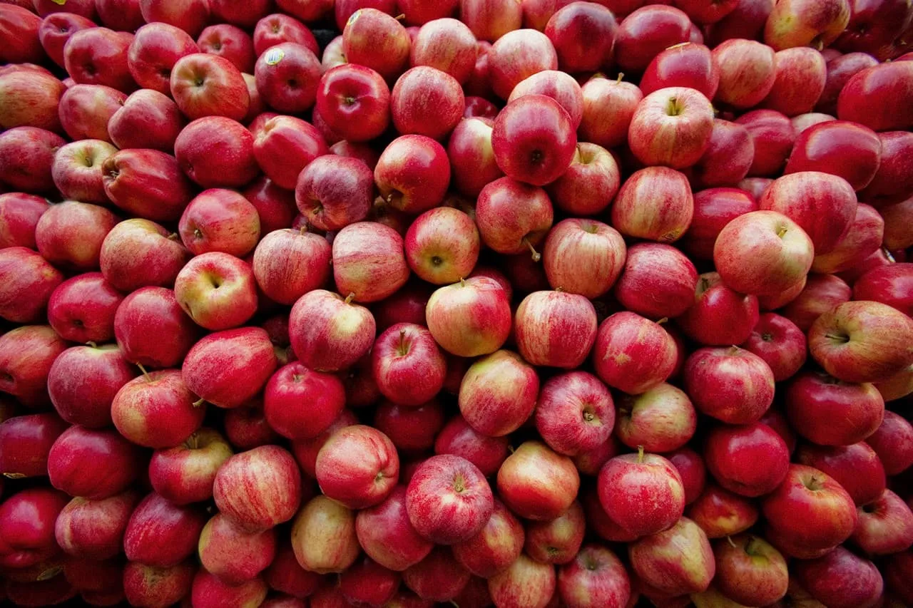 Apples that contain pectin